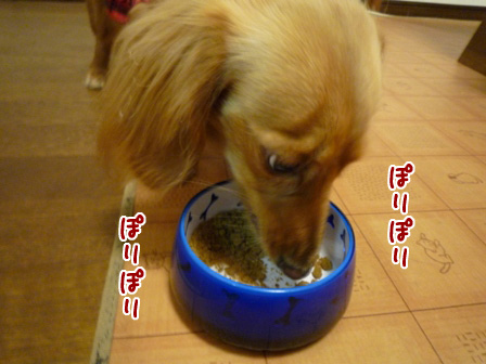 040_20110423213349.jpg