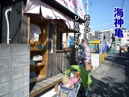 023_20120330005503.jpg