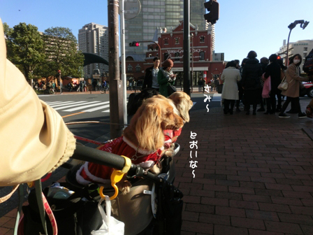 002_20141214001515b12.jpg