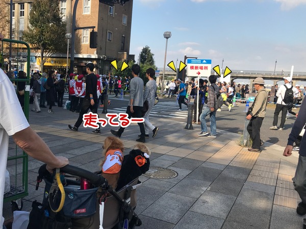 meruloco20181029-6
