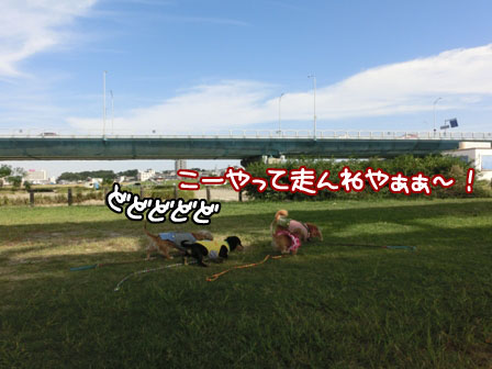 017_20130929010147720.jpg