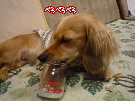 014_20110709010037.jpg