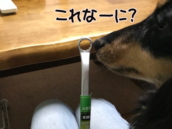 2018023meruloco-1