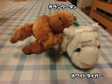 033_20120923001024.jpg