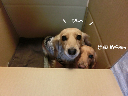 2011606034.jpg