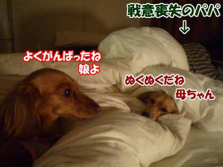 003_20101201220414.jpg