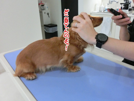 201606045.jpg