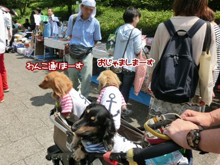 2016051615.jpg