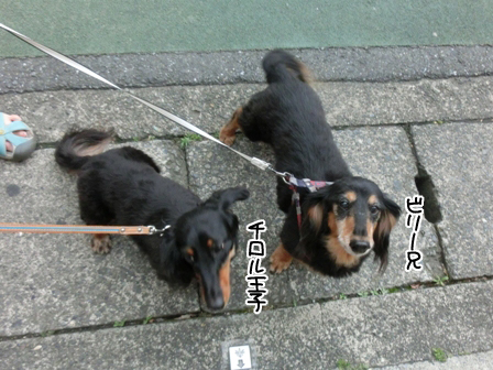 201606096.jpg