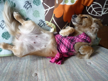 013_20110430223636.jpg