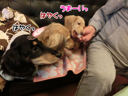 005_20131031003223b44.jpg