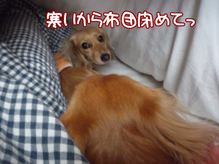 003_20110221211655.jpg