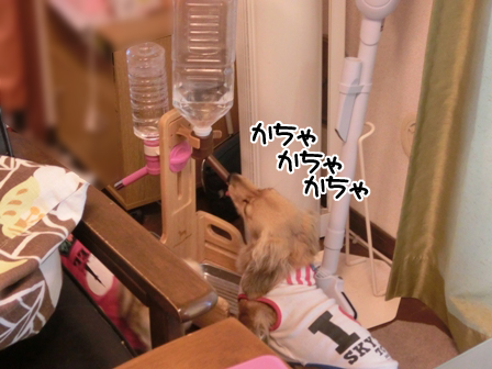 201602206.jpg