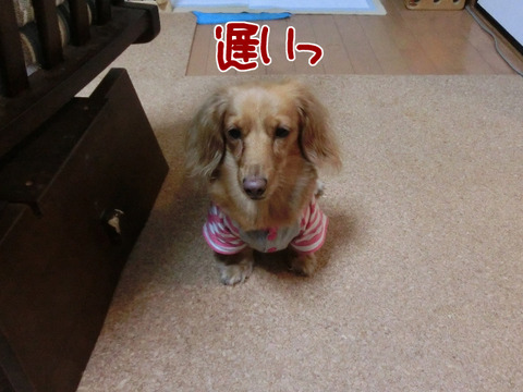 201608312