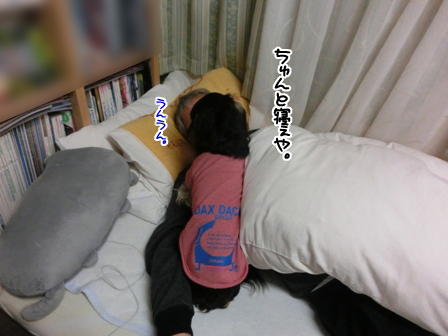 2016020516.jpg