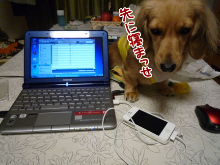 003_20111215024506.jpg