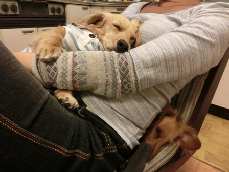 080_20130322233545.jpg