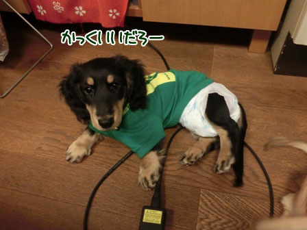 007_20130922233742005.jpg