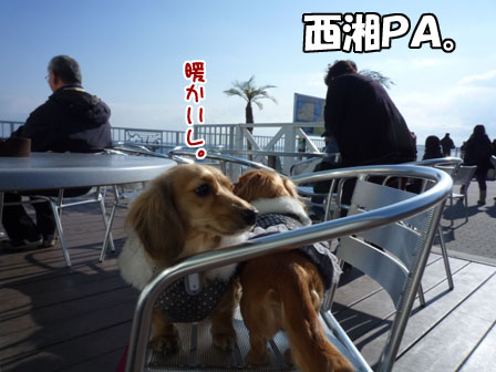 030_20120129220609.jpg