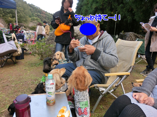bbq-04