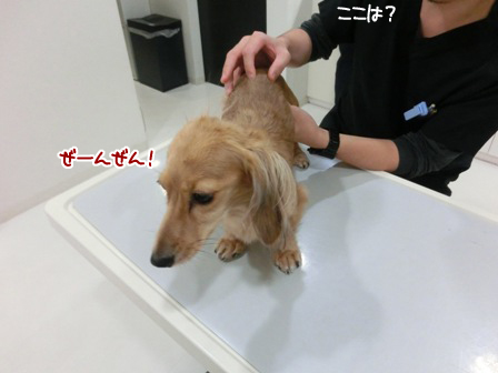 201510160063.jpg