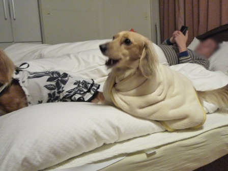 014_20110415225005.jpg