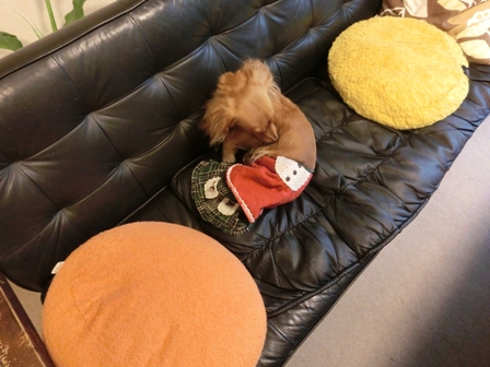 2016013001.jpg