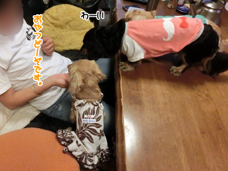 201605181.jpg