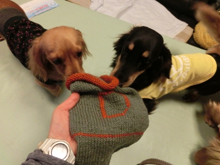 013_20140220001817174.jpg