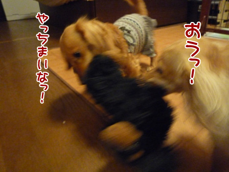 024_20110510232815.jpg