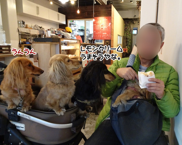 20180106meruloco-3