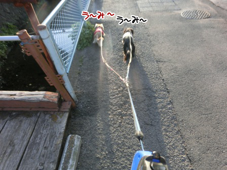 20151028002.jpg