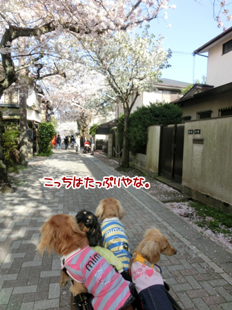 030_20140405224514874.jpg