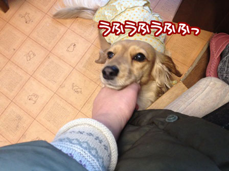 002_20120308225556.jpg