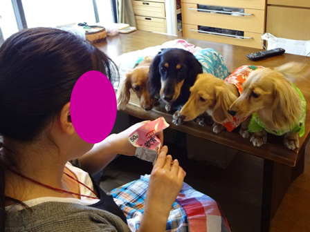 013_20150823205852f25.jpg