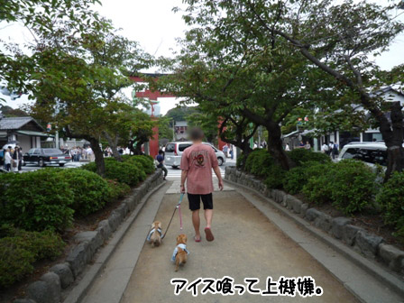 006_20120628223344.jpg