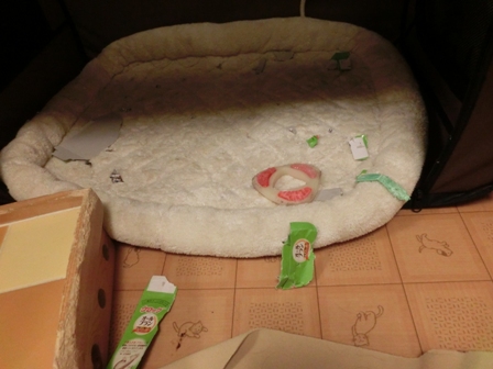008_20140223231905609.jpg
