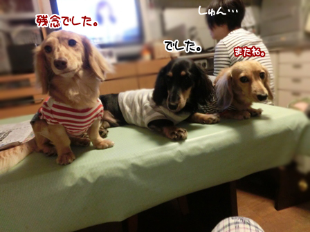 007_20140920224912947.jpg