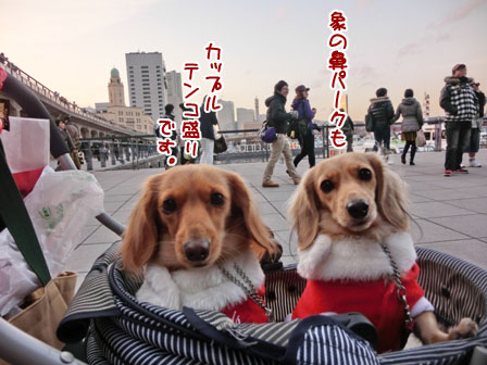 028_20121223234713.jpg