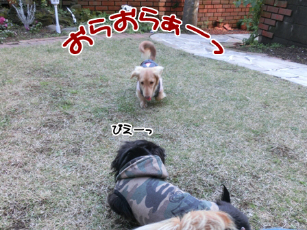 010_201412220005485bd.jpg