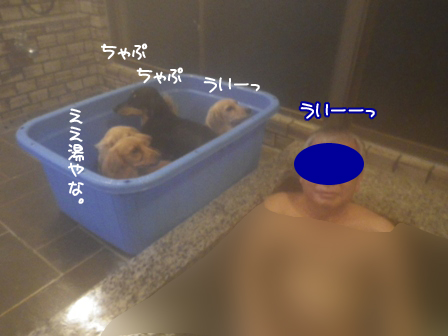 009_20150222231829891.jpg