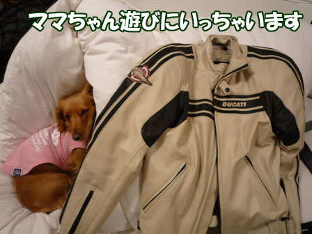 011_20101203233113.jpg