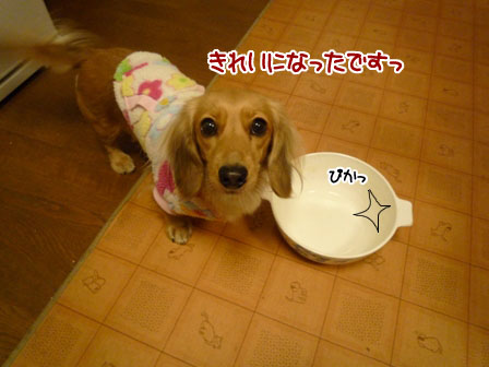 009_20120106231043.jpg