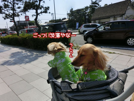 00<br>
<br />3_20130505224453.jpg