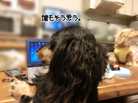 011_20150622230318ac4.jpg