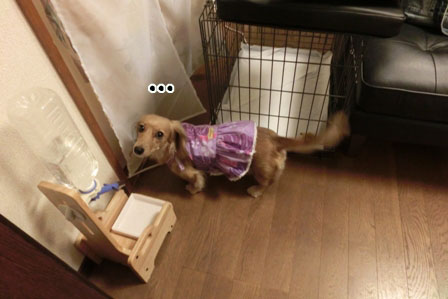 020_201308202352036bb.jpg