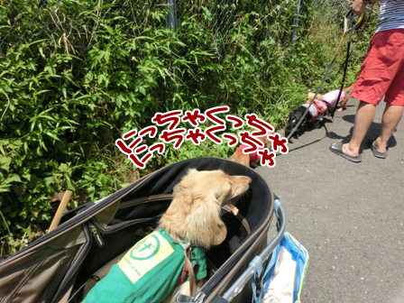 2016052302.jpg