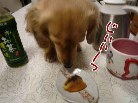 005_20120227213802.jpg