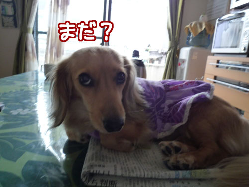 d365d3eb.jpg