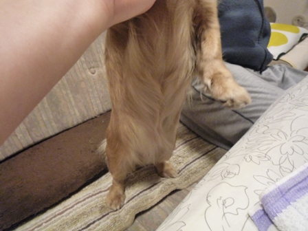 009_20120306224219.jpg